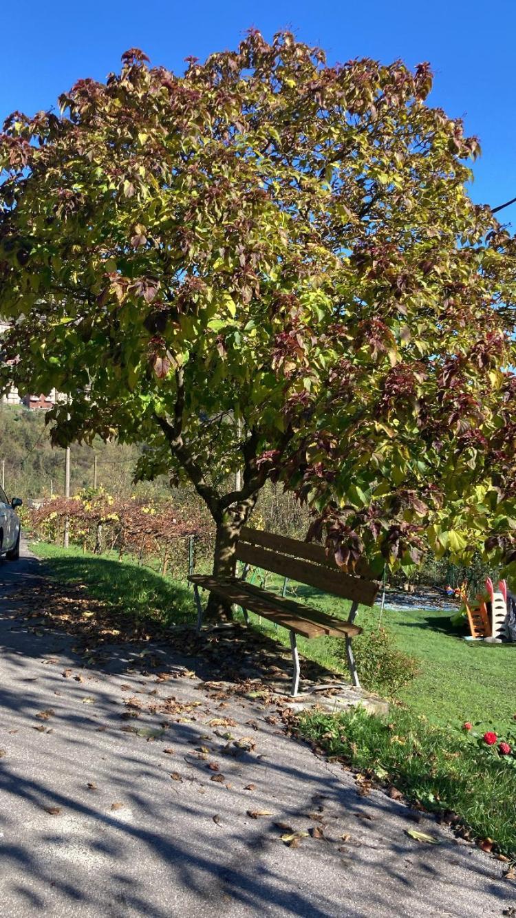 Cascina Uertigher Gorno 外观 照片